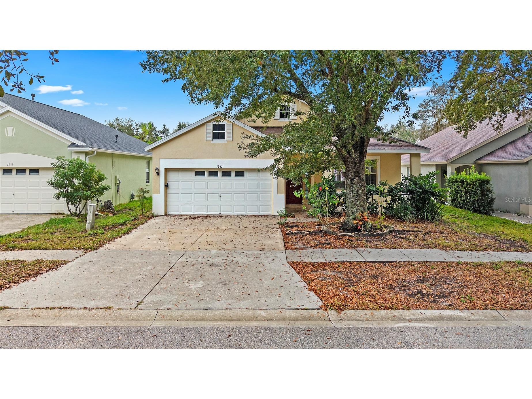 7947 Terrace Ridge Drive Temple Terrace FL 33637 TB8453217 image22