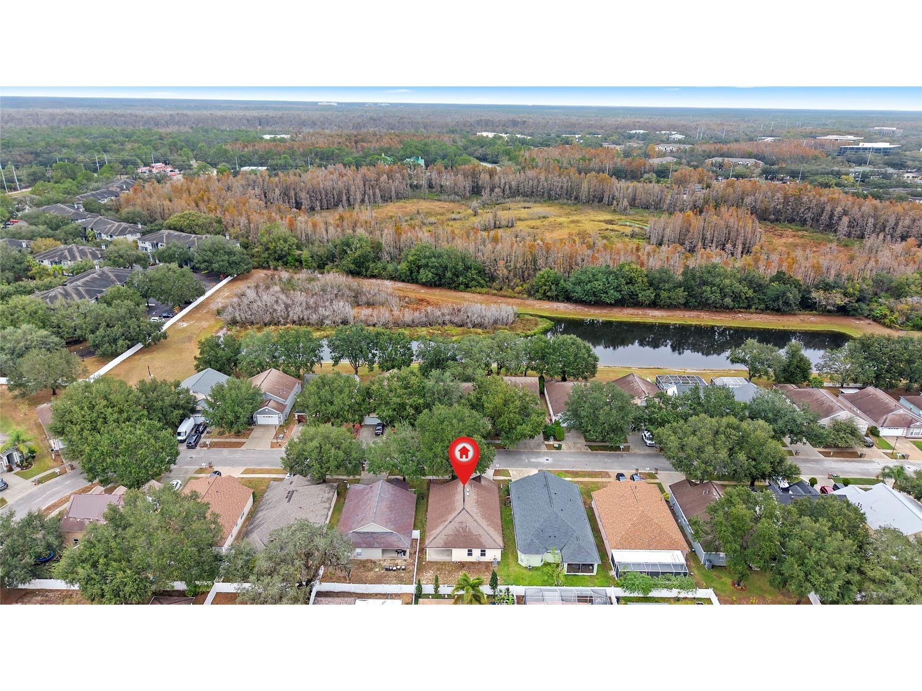 7947 Terrace Ridge Drive Temple Terrace FL 33637 TB8453217 image37