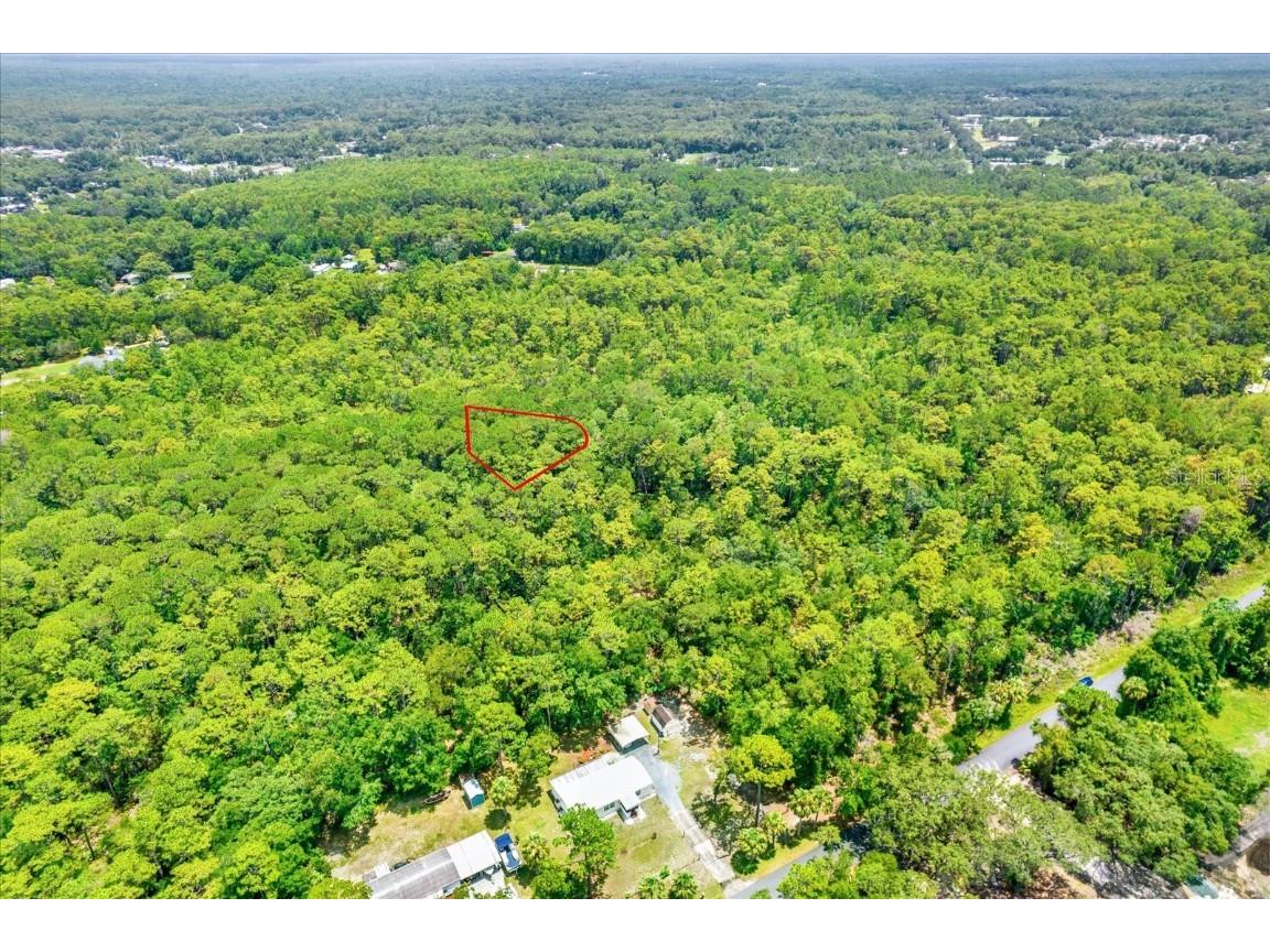 7947 W Luxemburg Lane Homosassa FL 34448 TB8408018 image10