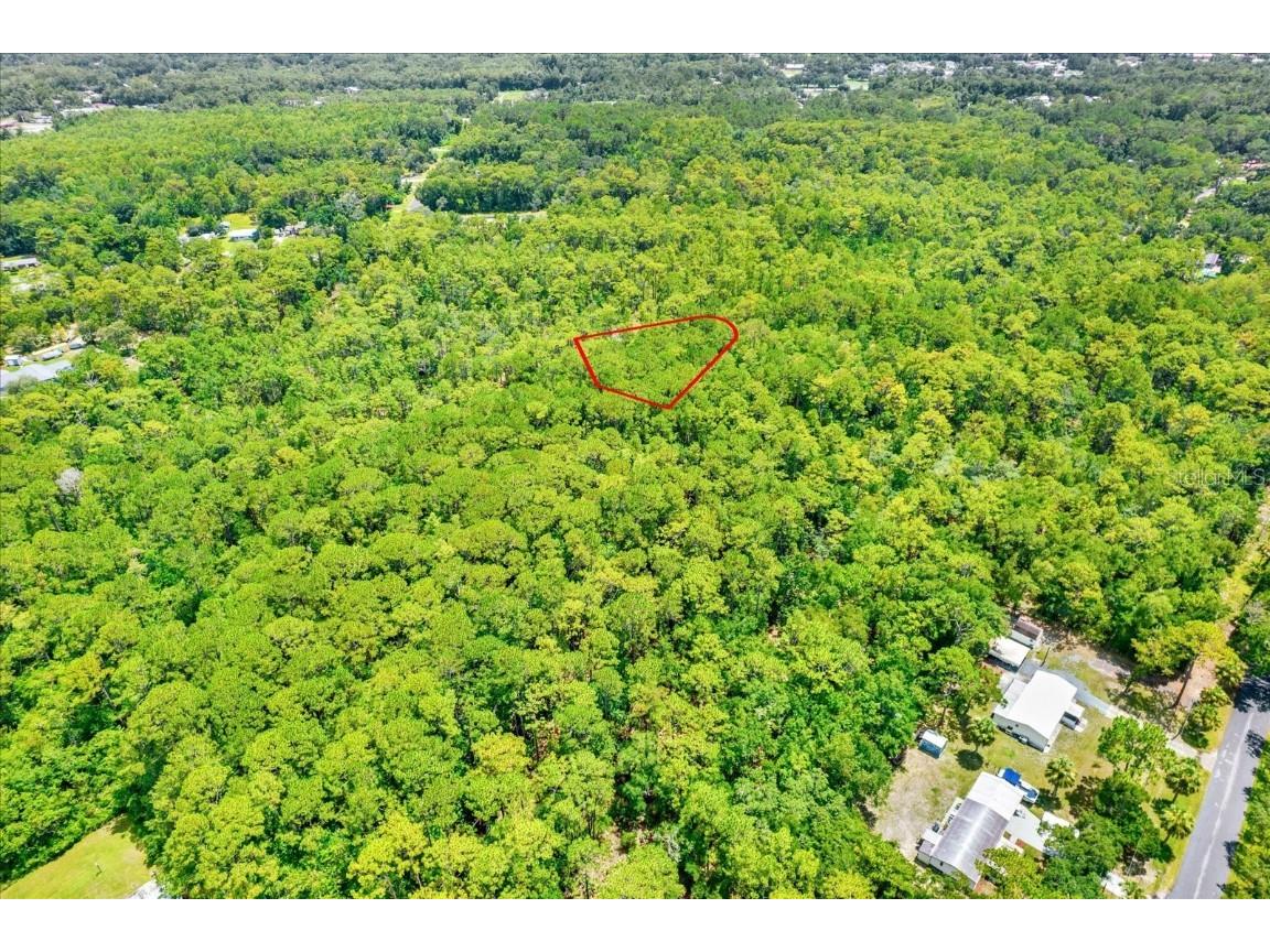 7947 W Luxemburg Lane Homosassa FL 34448 TB8408018 image12