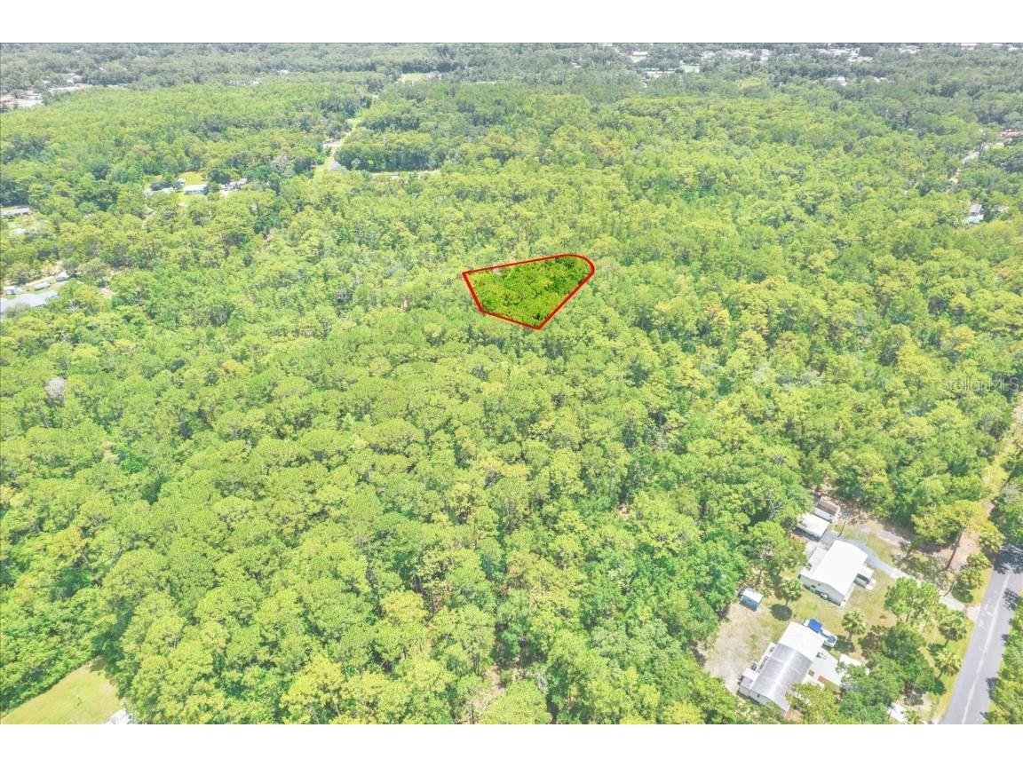 7947 W Luxemburg Lane Homosassa FL 34448 TB8408018 image15