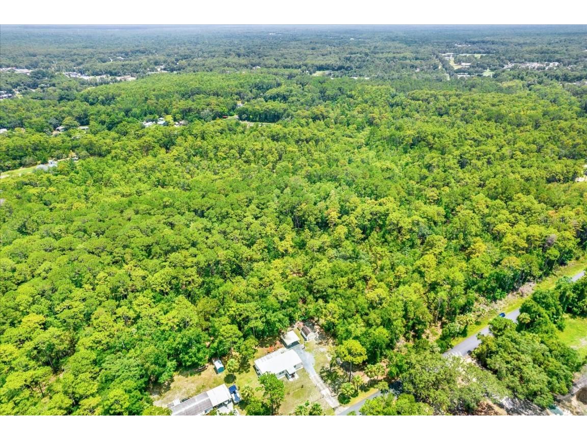 7947 W Luxemburg Lane Homosassa FL 34448 TB8408018 image2