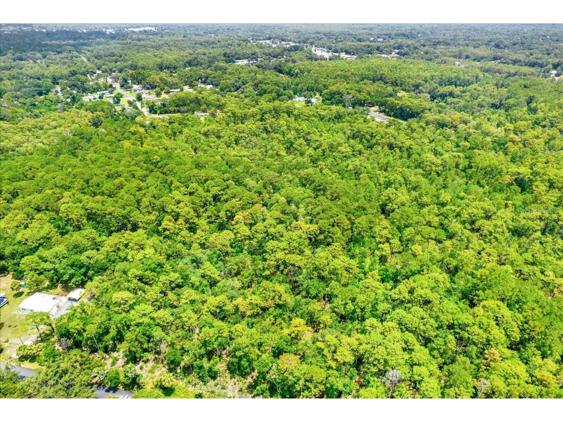 7947 W Luxemburg Lane Homosassa FL 34448 TB8408018 image5