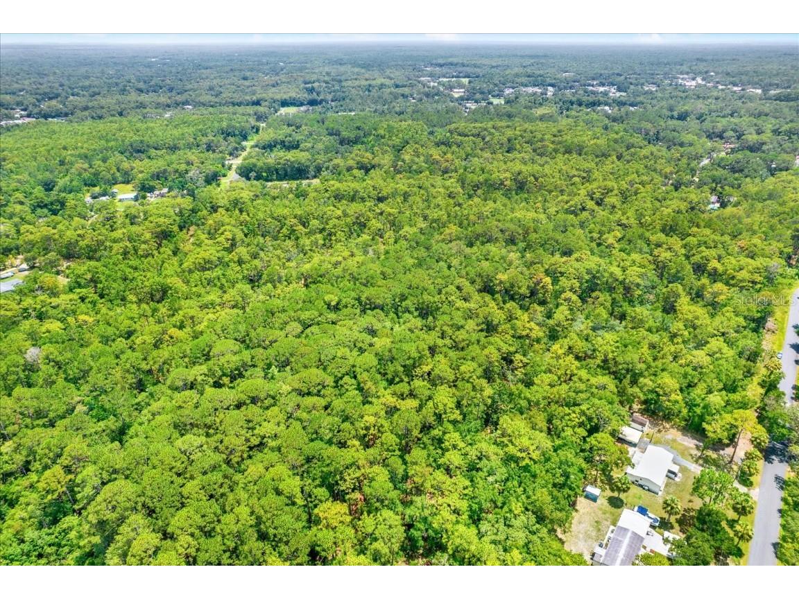 7947 W Luxemburg Lane Homosassa FL 34448 TB8408018 image6