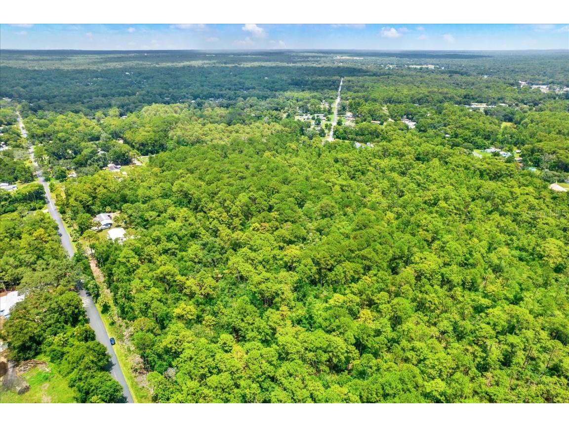 7947 W Luxemburg Lane Homosassa FL 34448 TB8408018 image7