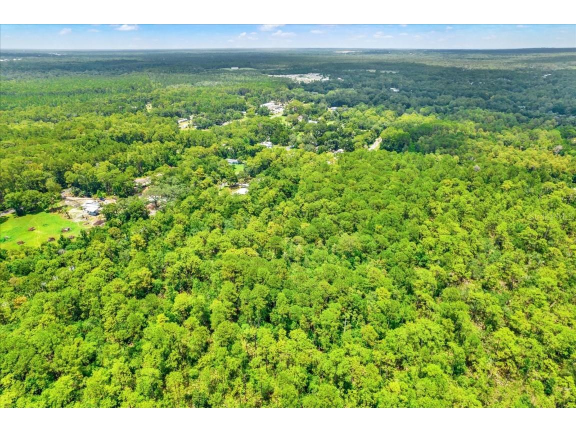 7947 W Luxemburg Lane Homosassa FL 34448 TB8408018 image8