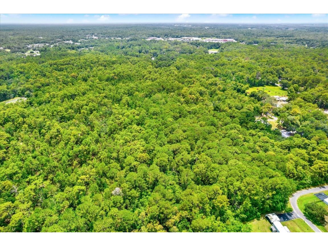 7947 W Luxemburg Lane Homosassa FL 34448 TB8408018 image9