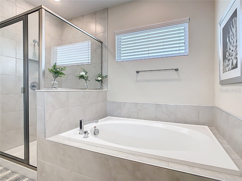 7948 Jacks Club Court Reunion FL 34747 S5139086 image58