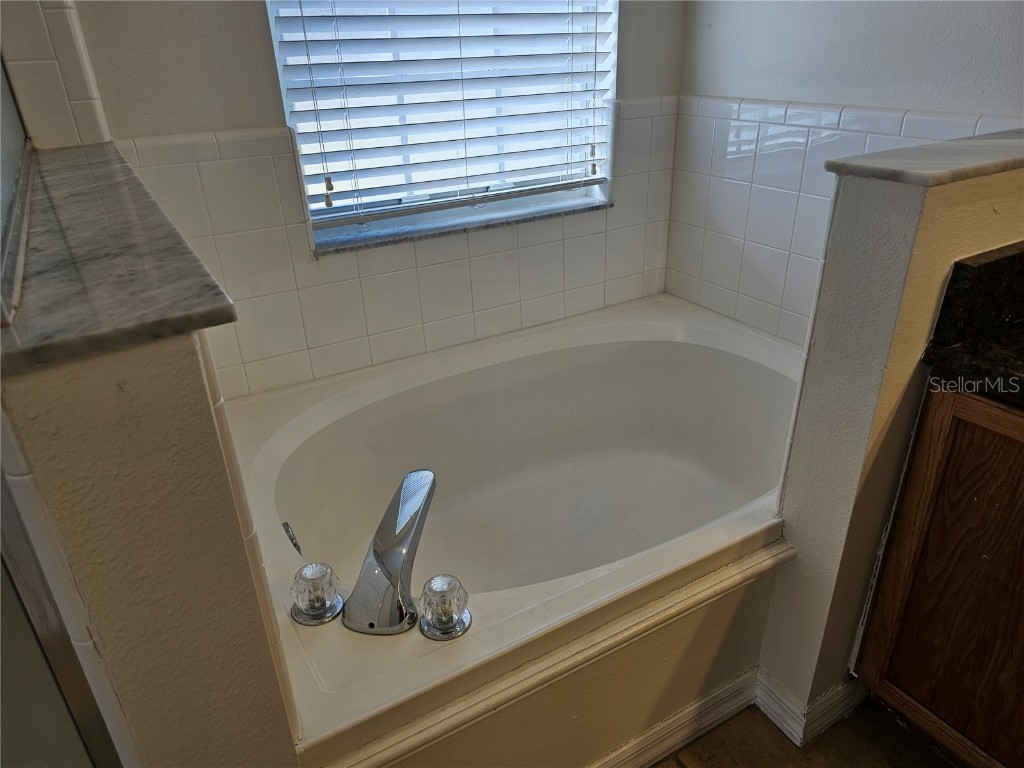 7949 Golden Pond Circle Kissimmee FL 34747 S5139795 image19