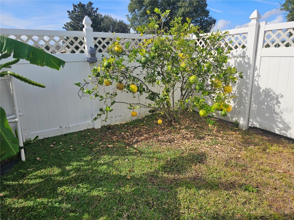 7949 Golden Pond Circle Kissimmee FL 34747 S5139795 image27