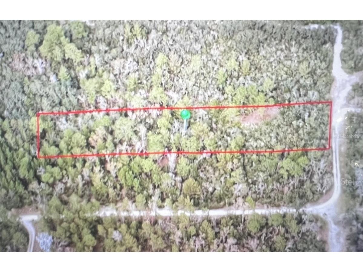 795 4th Street E Osteen FL 32764 S5129446 image1