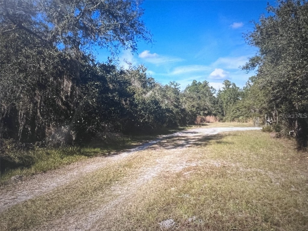 795 4th Street E Osteen FL 32764 S5129446 image2