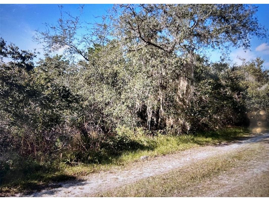 795 4th Street E Osteen FL 32764 S5129446 image3