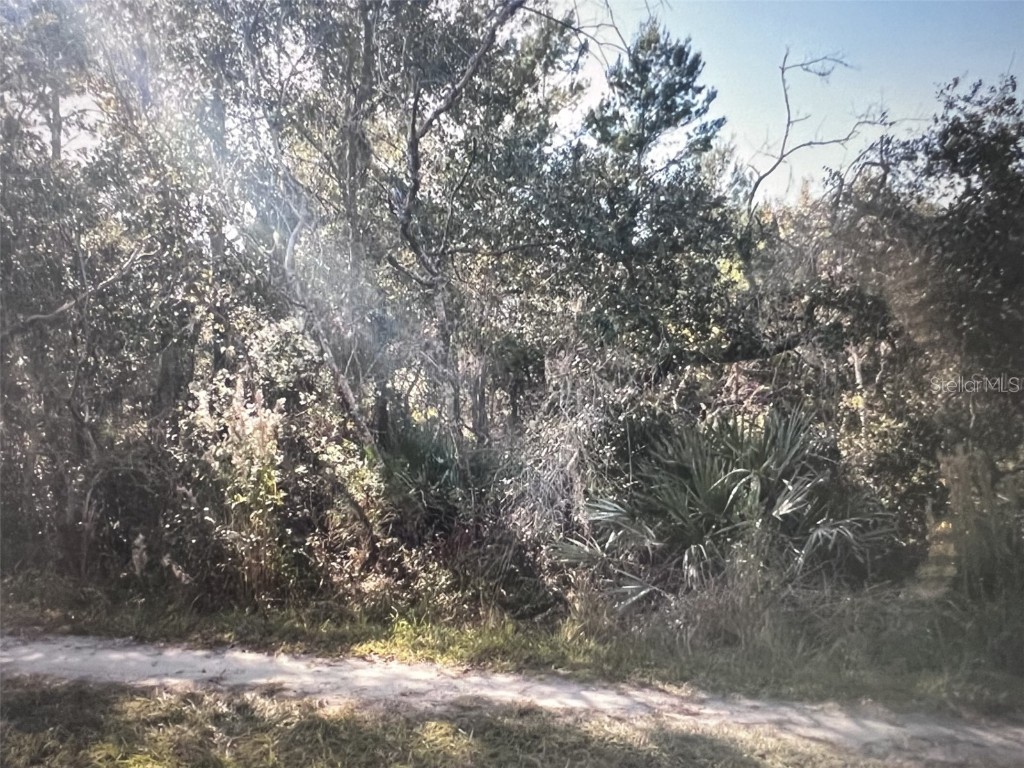 795 4th Street E Osteen FL 32764 S5129446 image4