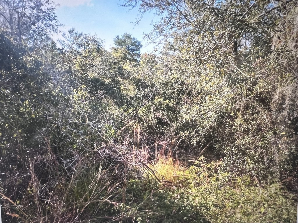 795 4th Street E Osteen FL 32764 S5129446 image5