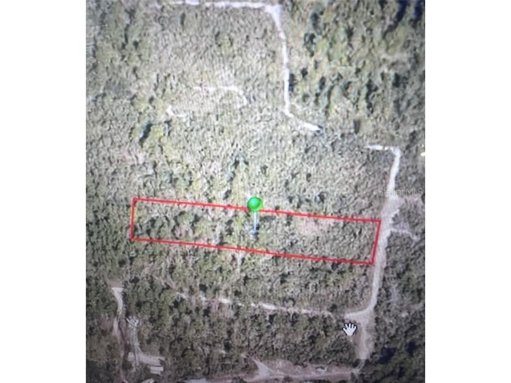 795 4th Street E Osteen FL 32764 S5129446 image6