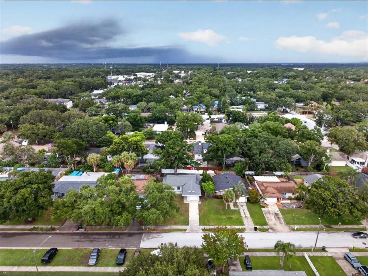 795 7th Street S Safety Harbor FL 34695 TB8524702 image48