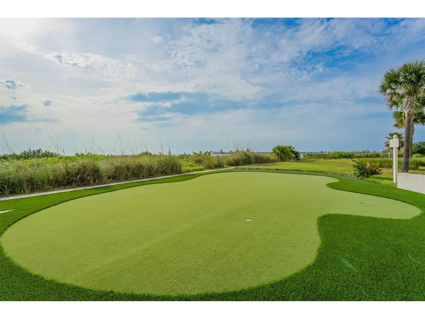 795 Collany Road #201 Tierra Verde FL 33715 TB8509471 image69