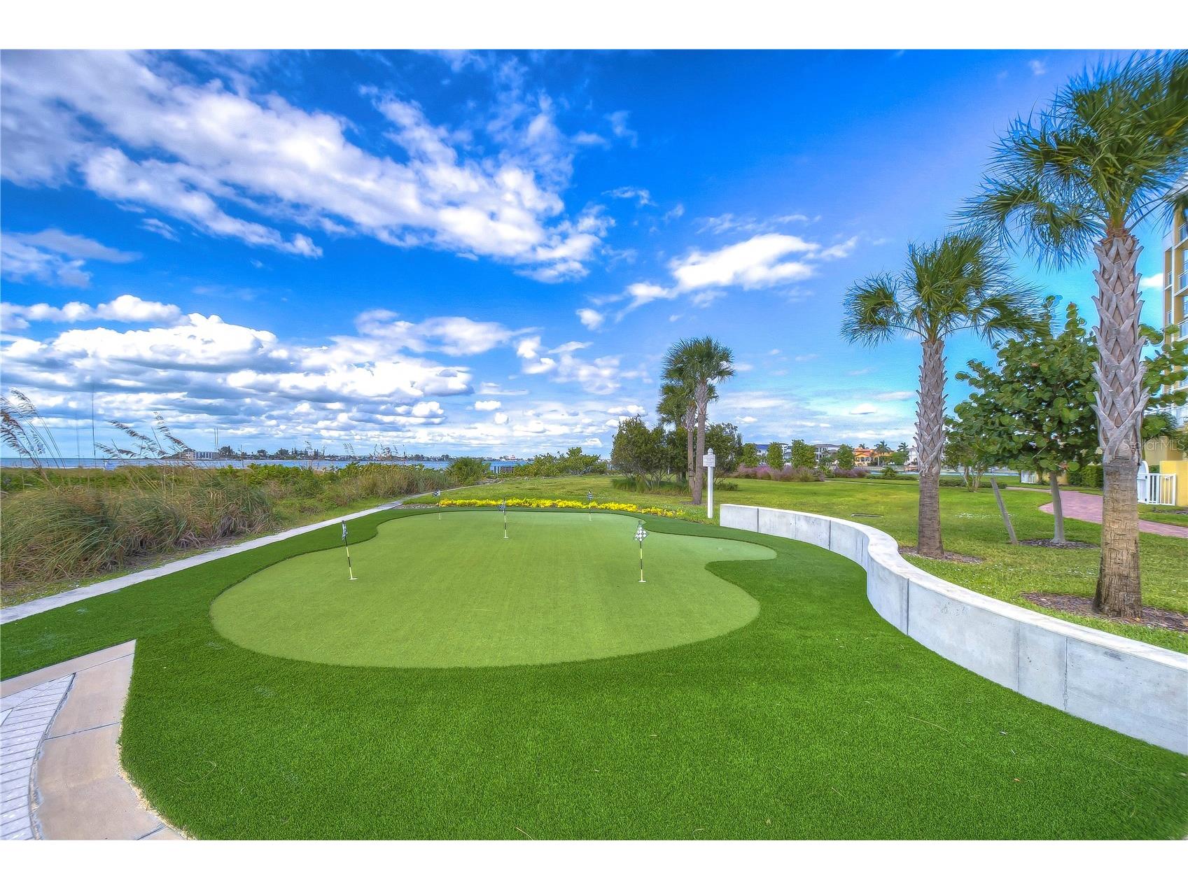 795 Collany Road #204 Tierra Verde FL 33715 - GULF OF MEXICO/AMERICA TB8526307 image64