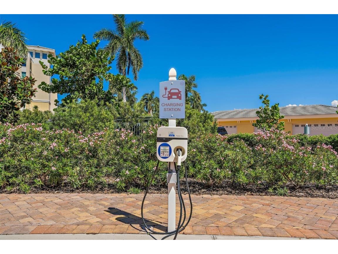 795 Collany Road #304 Saint Petersburg FL 33715 - GULF OF MEXICO TB8322483 image50