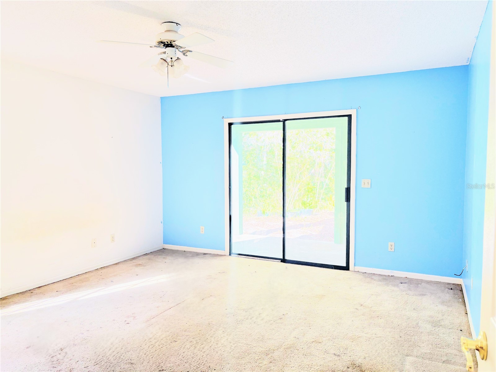 795 Scooter Point Geneva FL 32732 O6355015 image5