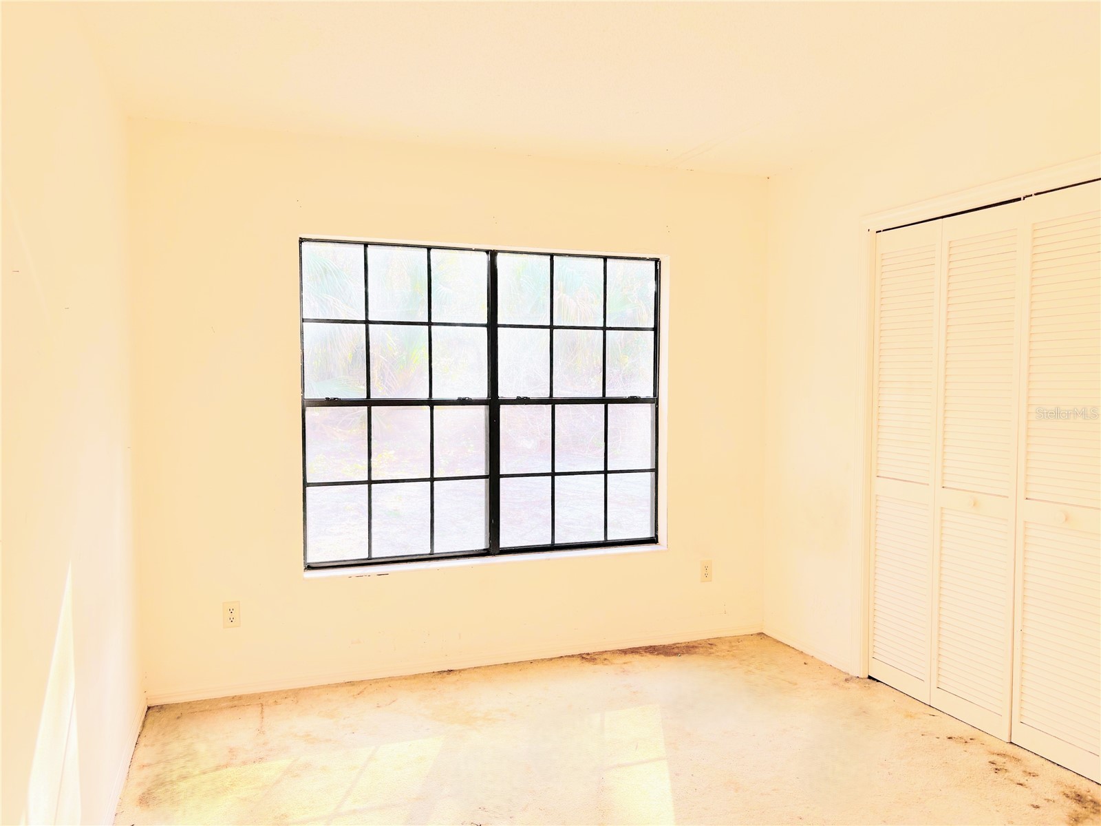 795 Scooter Point Geneva FL 32732 O6355015 image8