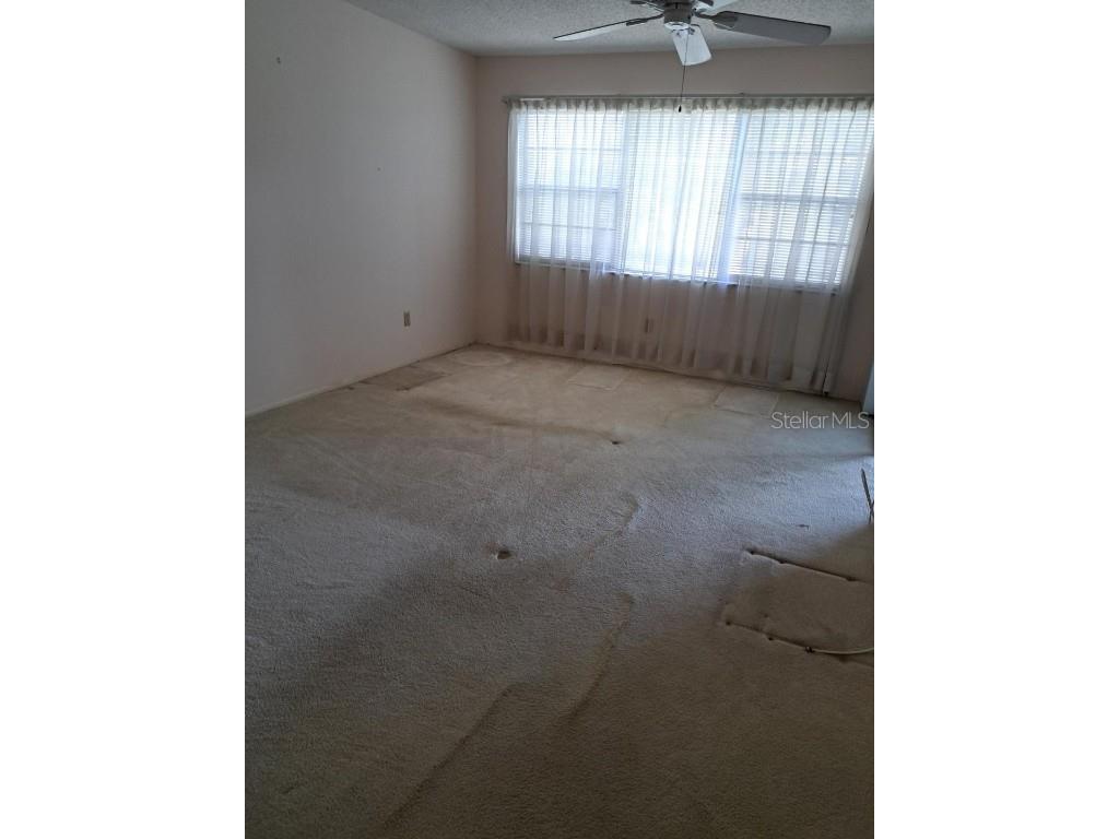 7951 58th Avenue N #208 Saint Petersburg FL 33709 - NO NAME- LAKE SYSTEM THROUGHOUT THE PROPERTY TB8450625 image5