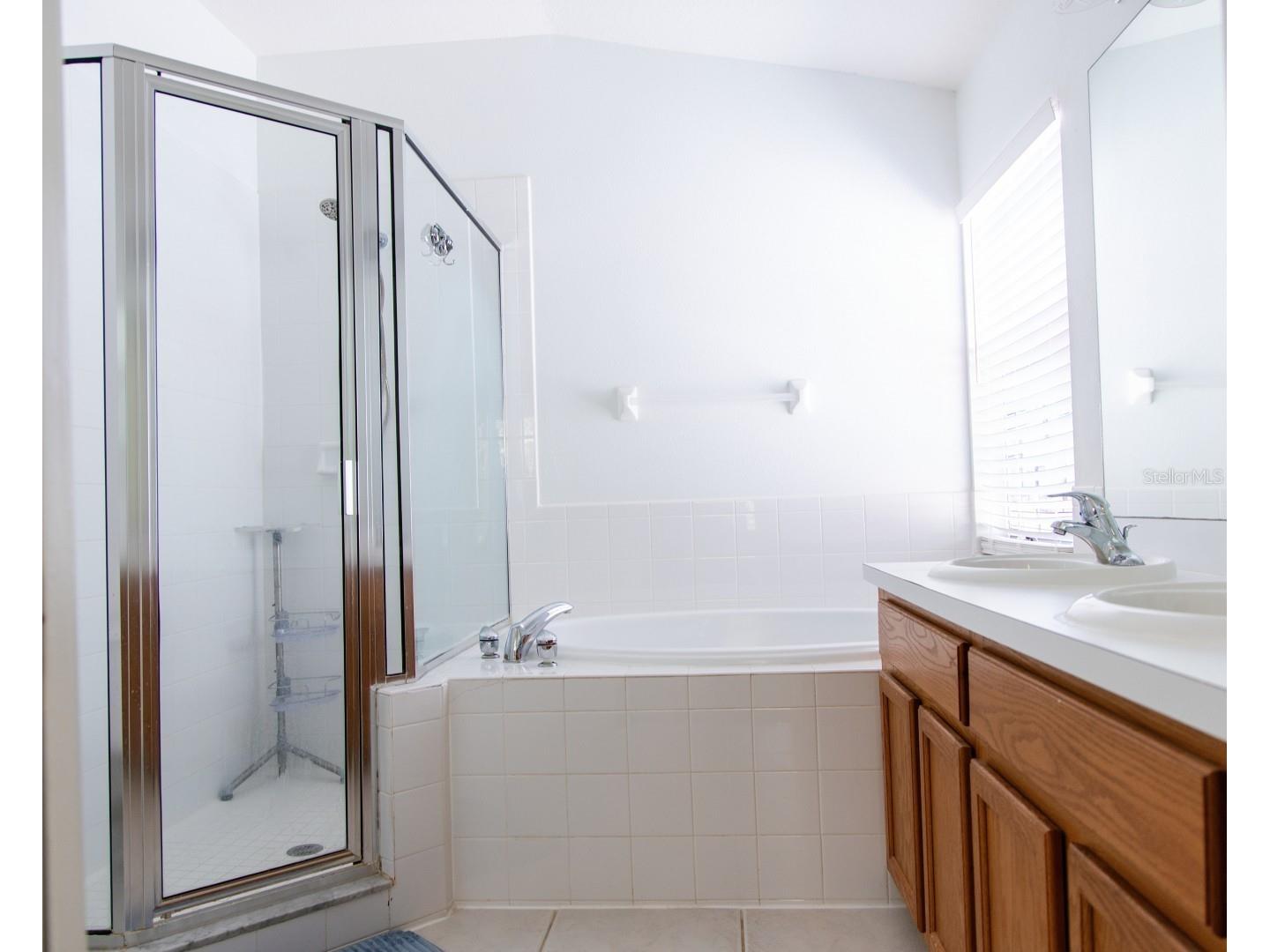 7951 Carriage Pointe Drive Gibsonton FL 33534 W7883994 image22