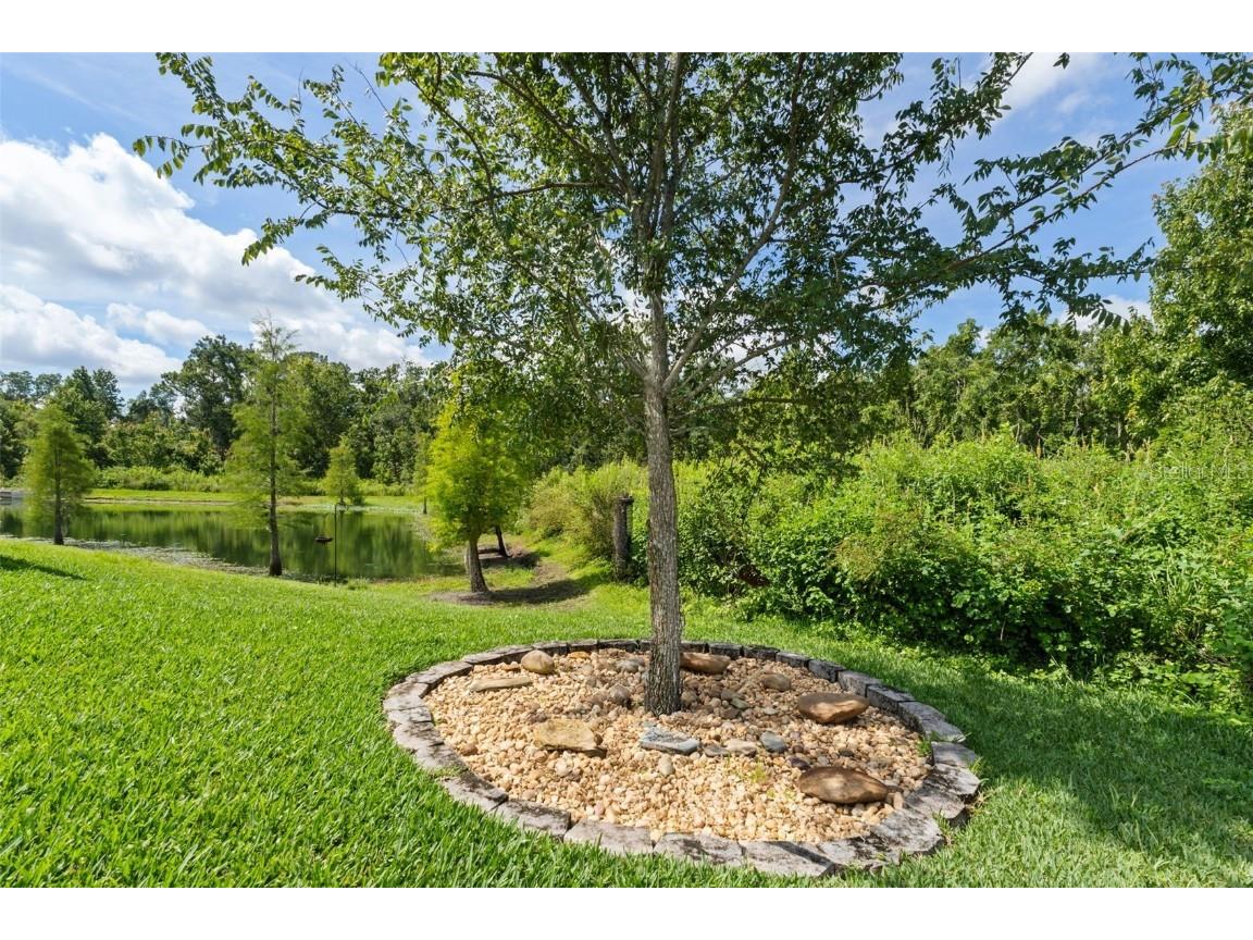 7953 Lake James Boulevard Lakeland FL 33810 L4954430 image41