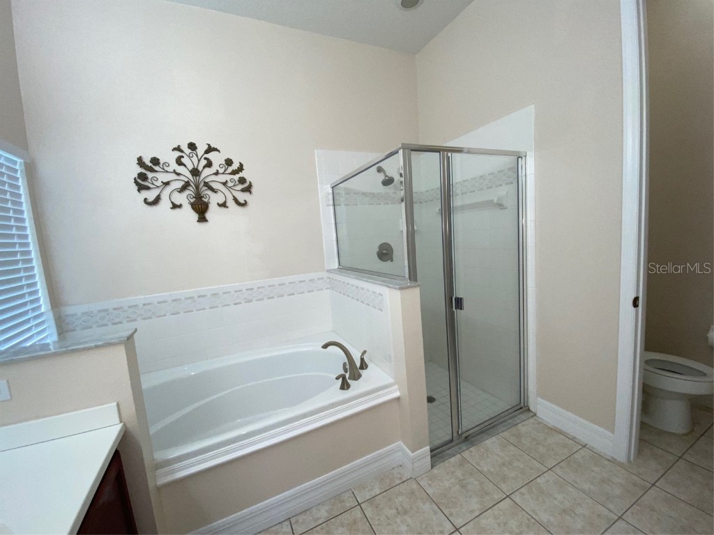 7953 Sea Pearl Circle Kissimmee FL 34747 S5103387 image18