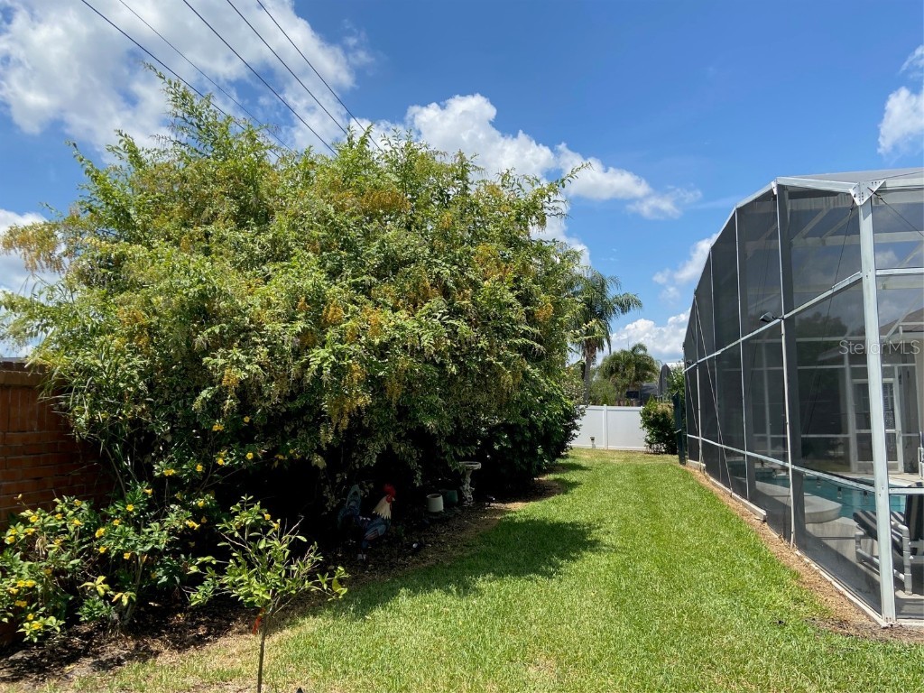 7953 Sea Pearl Circle Kissimmee FL 34747 S5103387 image28