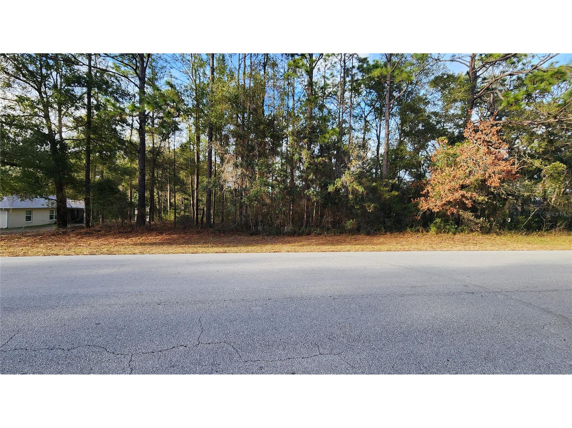 7954 N Golfview Drive Citrus Springs FL 34434 OM717623 image1