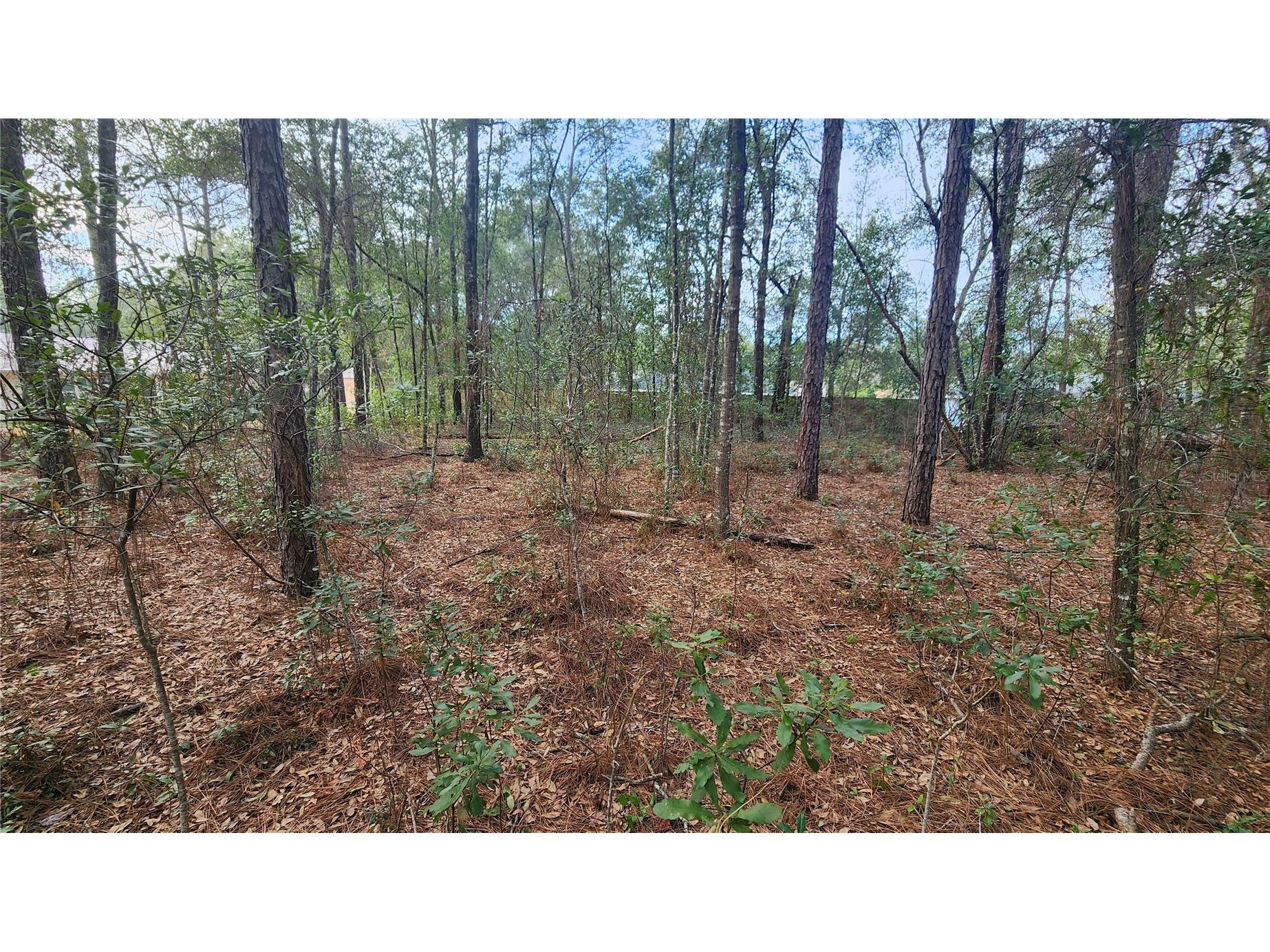 7954 N Golfview Drive Citrus Springs FL 34434 OM717623 image10