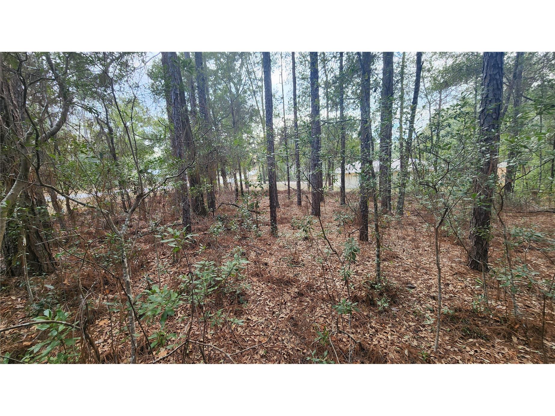 7954 N Golfview Drive Citrus Springs FL 34434 OM717623 image11