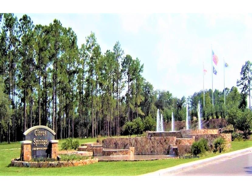 7954 N Golfview Drive Citrus Springs FL 34434 OM717623 image14