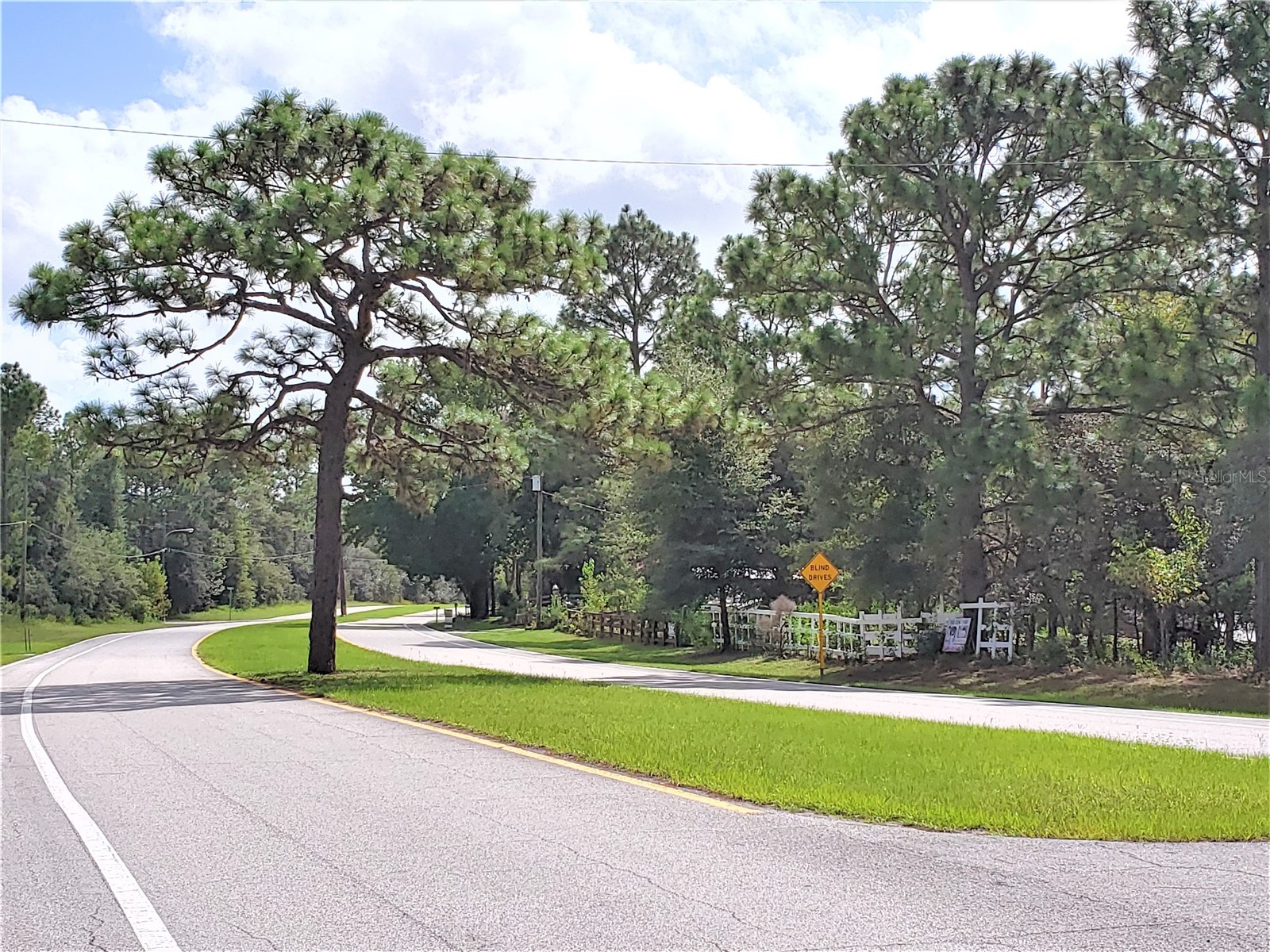 7954 N Golfview Drive Citrus Springs FL 34434 OM717623 image19