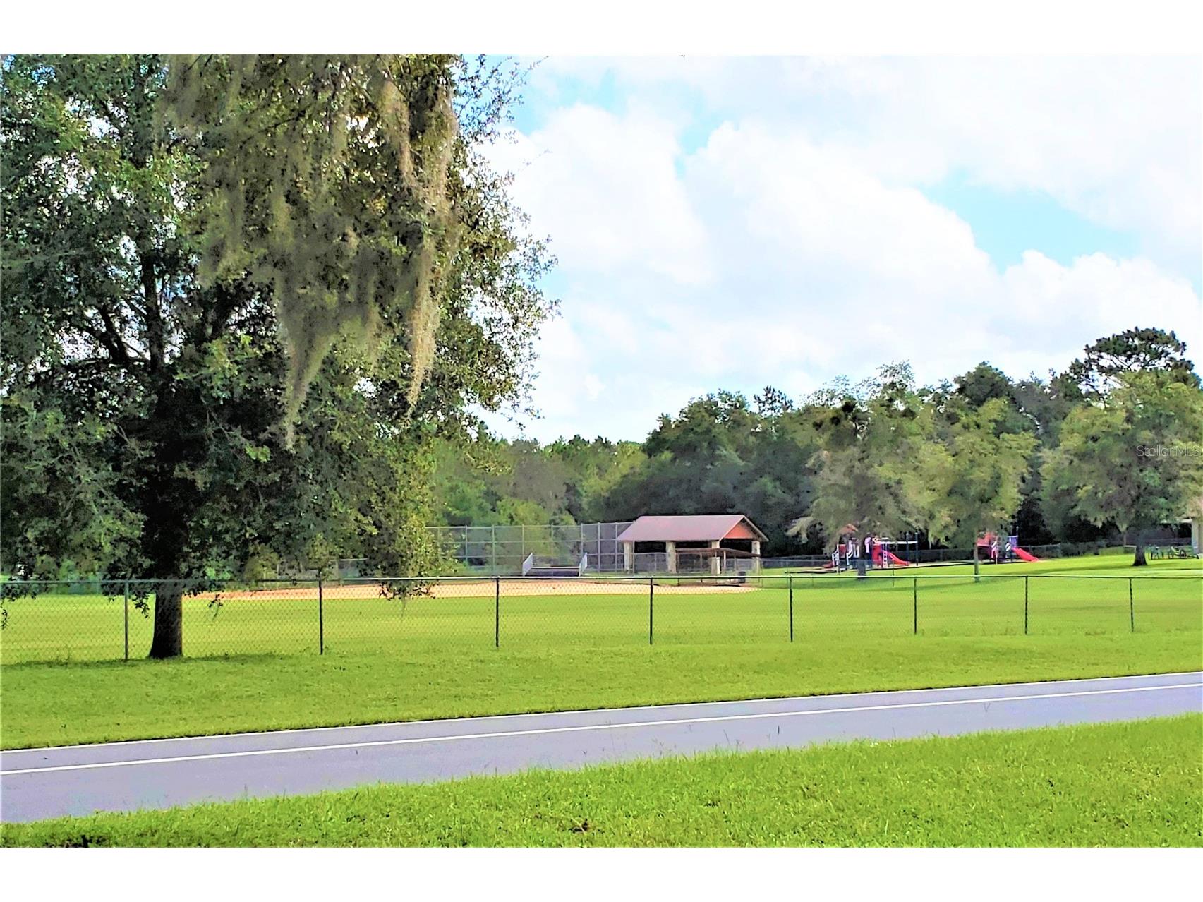7954 N Golfview Drive Citrus Springs FL 34434 OM717623 image20