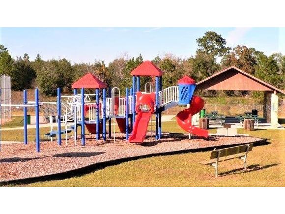 7954 N Golfview Drive Citrus Springs FL 34434 OM717623 image22