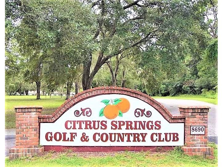 7954 N Golfview Drive Citrus Springs FL 34434 OM717623 image23