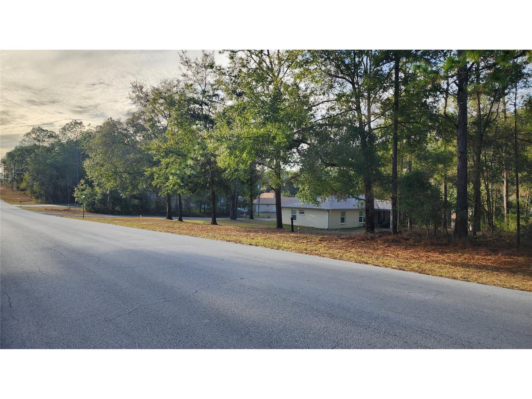 7954 N Golfview Drive Citrus Springs FL 34434 OM717623 image3