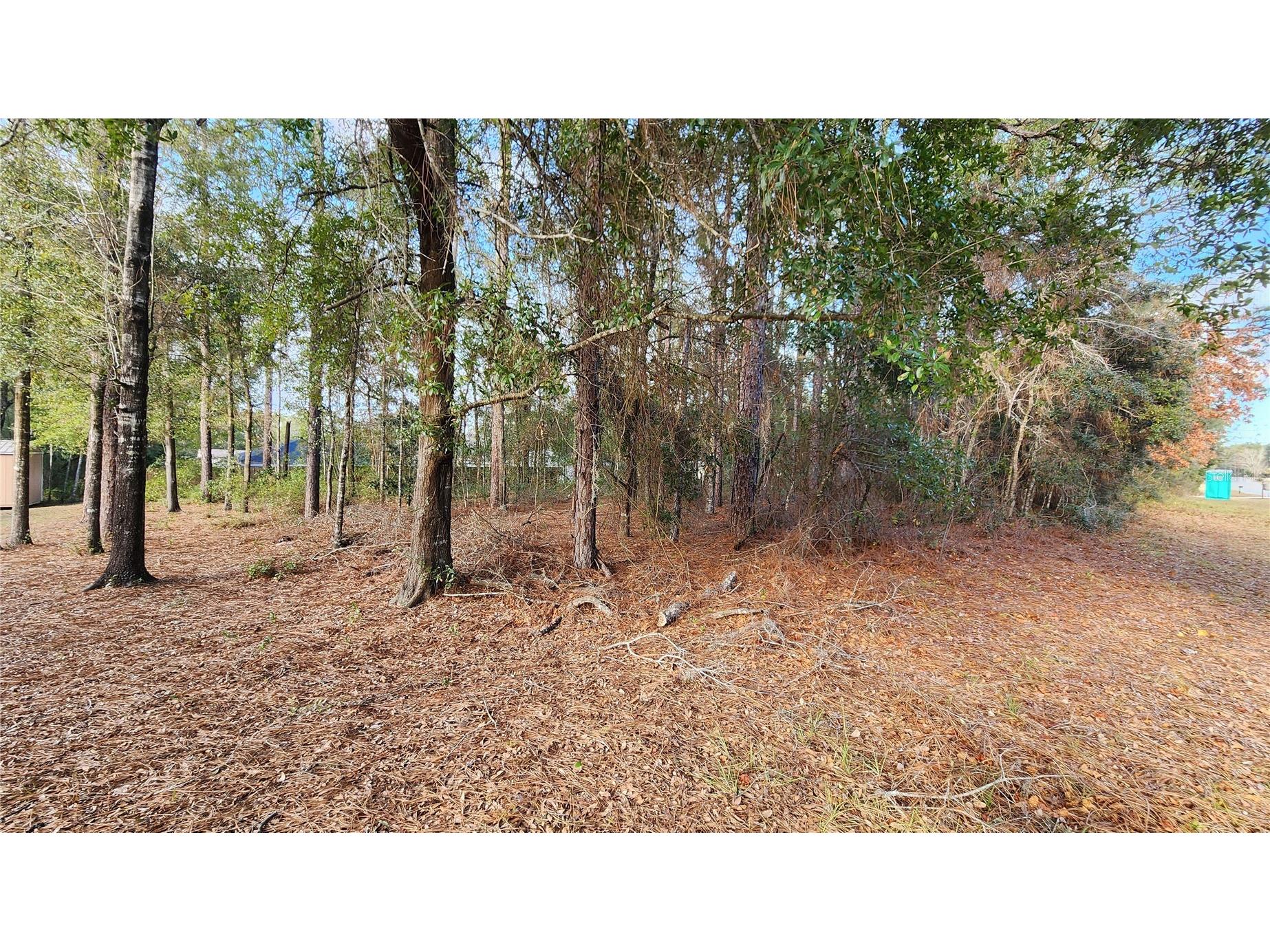 7954 N Golfview Drive Citrus Springs FL 34434 OM717623 image4