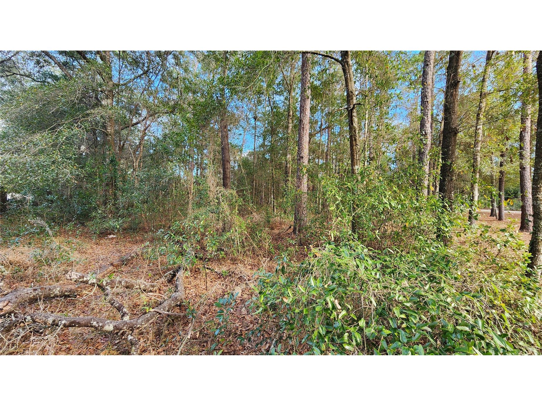 7954 N Golfview Drive Citrus Springs FL 34434 OM717623 image6