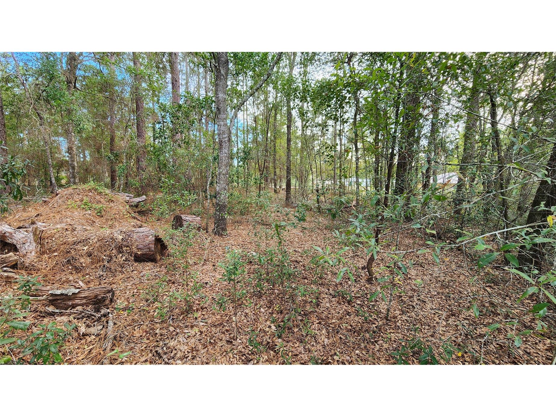 7954 N Golfview Drive Citrus Springs FL 34434 OM717623 image8