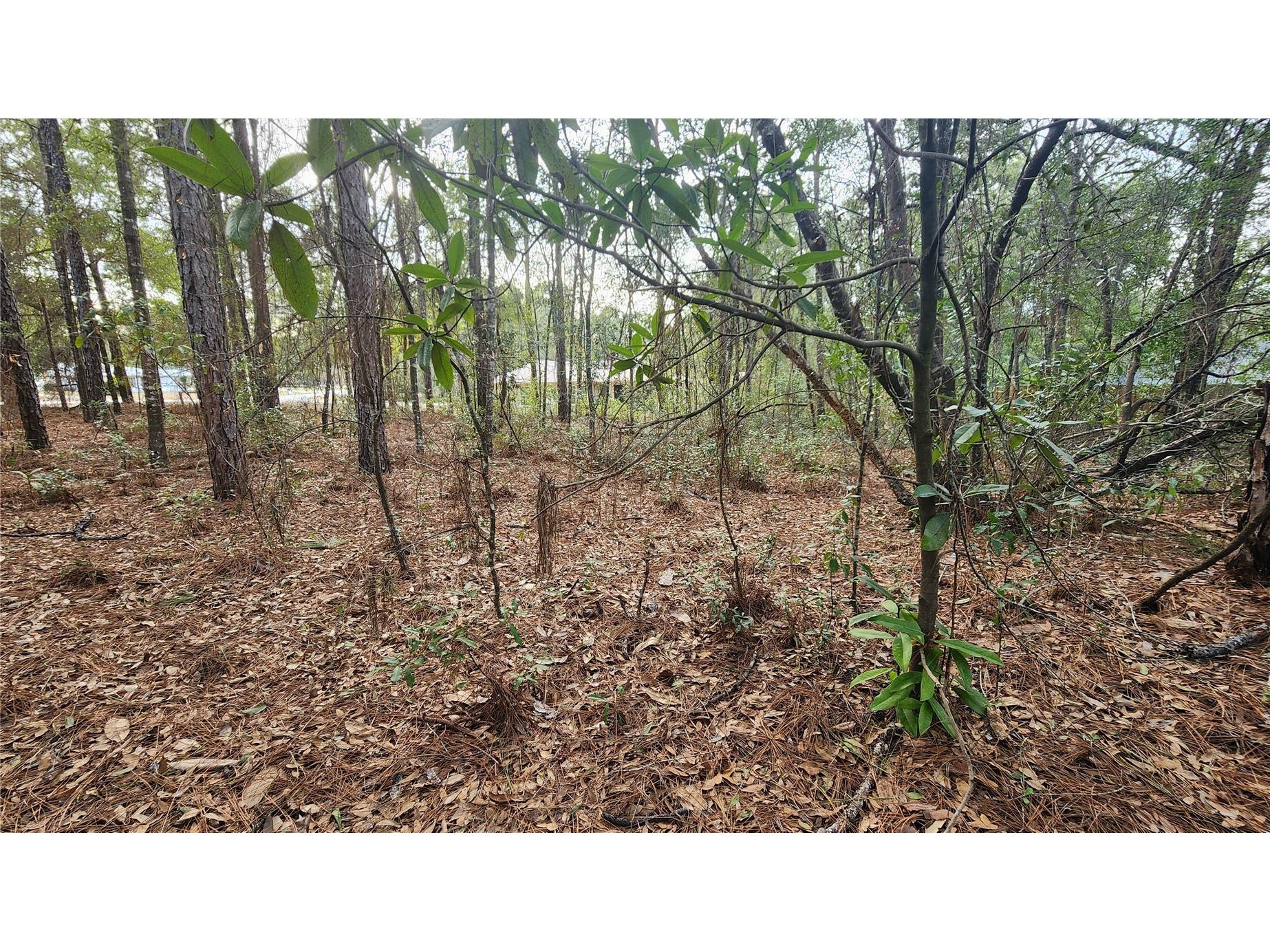 7954 N Golfview Drive Citrus Springs FL 34434 OM717623 image9