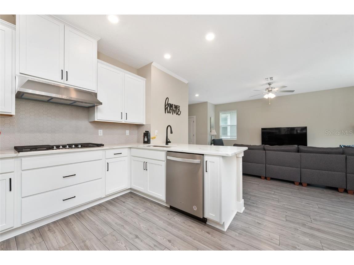 7955 Haverhill Way Reunion FL 34747 S5136215 image6