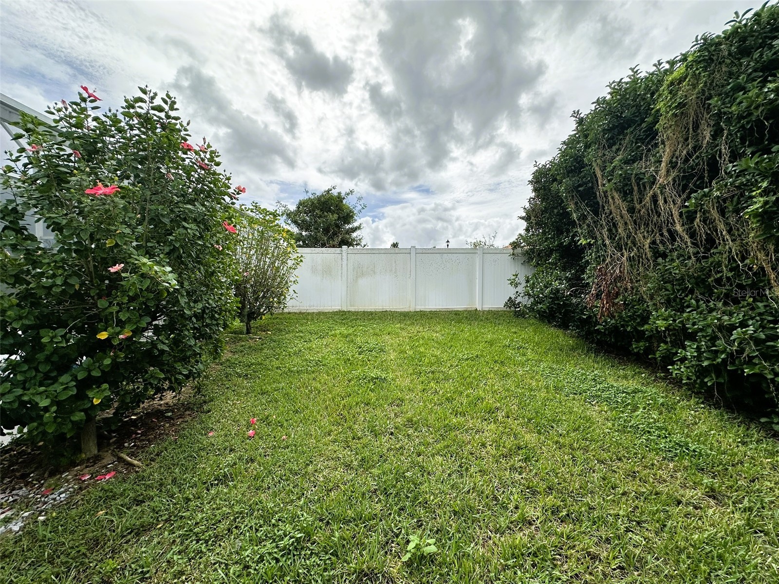 7955 Magnolia Bend Court Kissimmee FL 34747 O6387772 image47