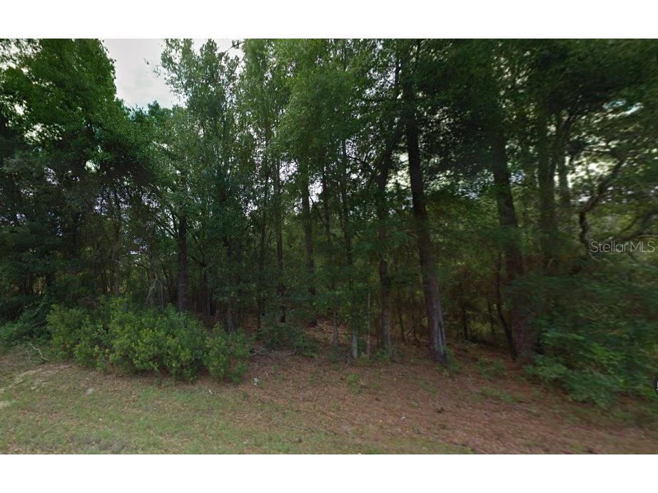 7957 N Hillview Circle Citrus Springs FL 34434 O6193955 image1