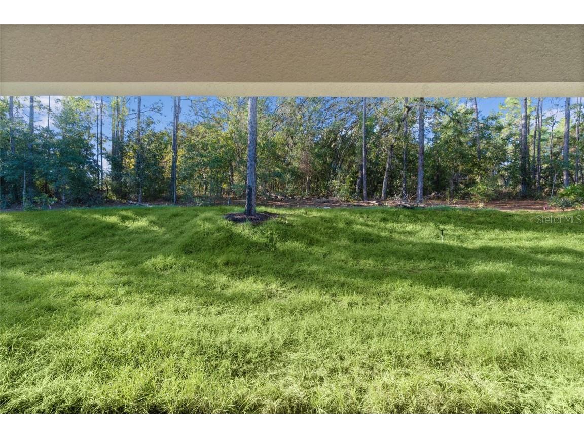 7957 N Primrose Drive Citrus Springs FL 34434 G5103413 image33