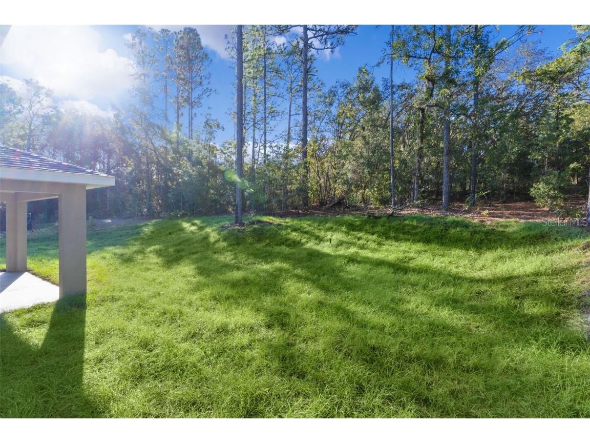 7957 N Primrose Drive Citrus Springs FL 34434 G5103413 image34
