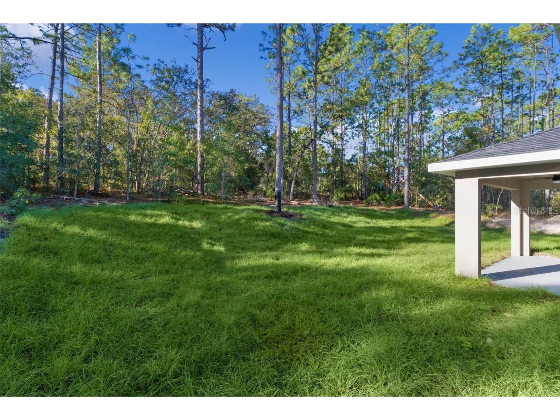 7957 N Primrose Drive Citrus Springs FL 34434 G5103413 image35